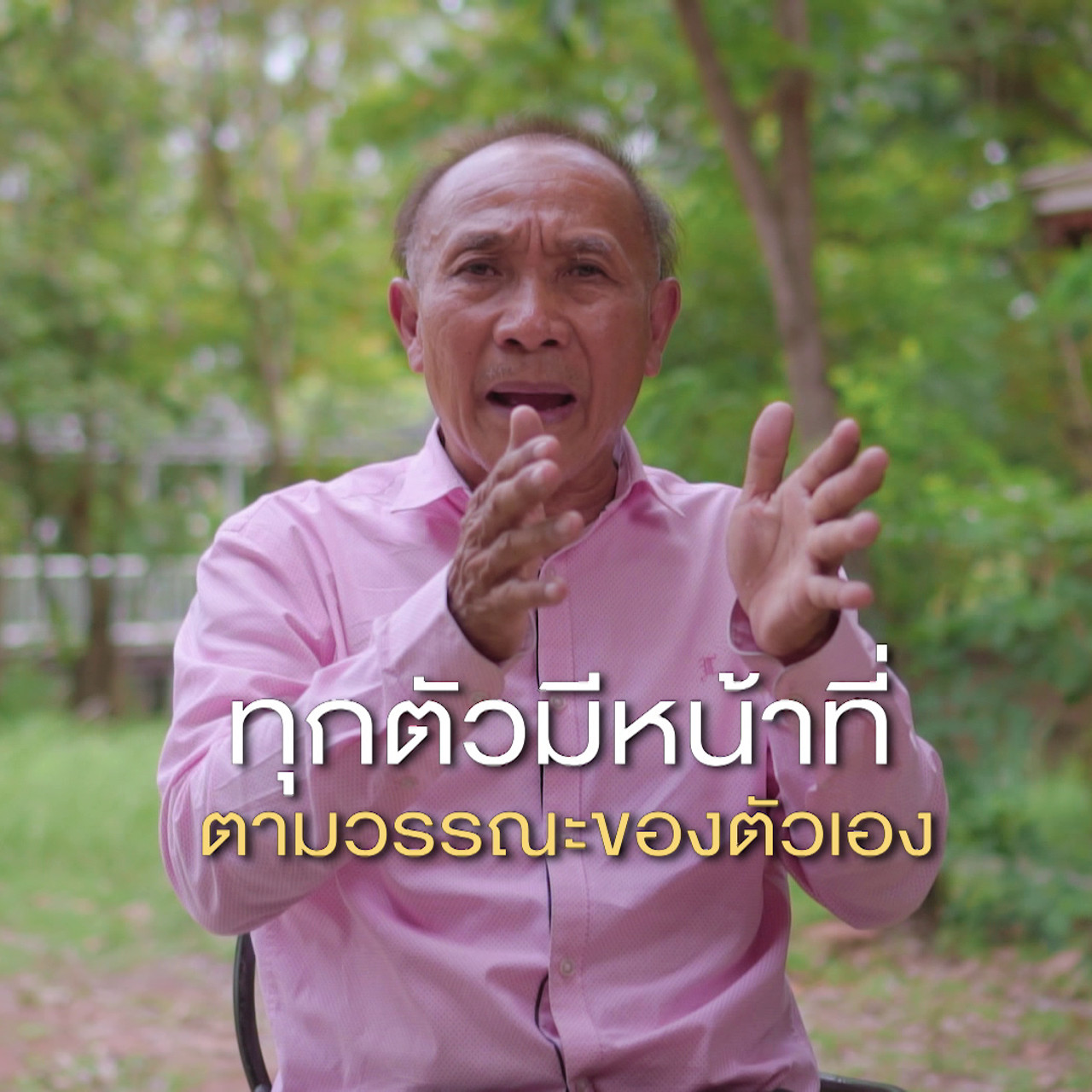 เกิดมาไมสัตว์ 2611656