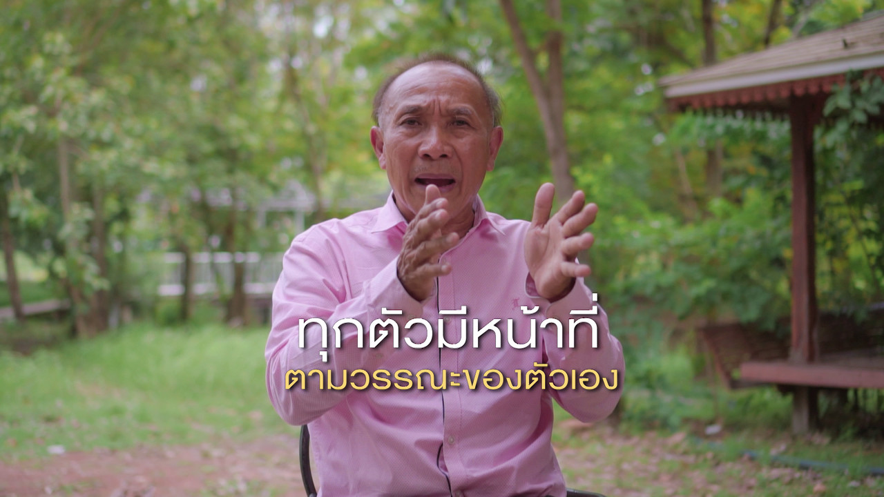 เกิดมาไมสัตว์ 2611656
