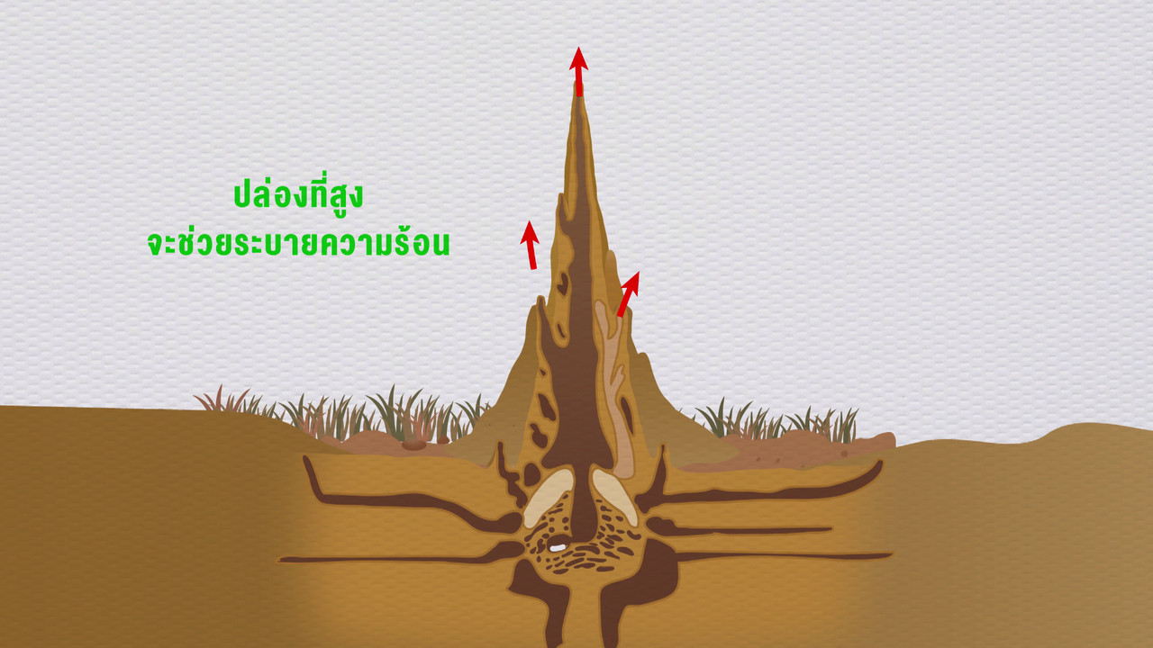เกิดมาไมสัตว์ 2611653