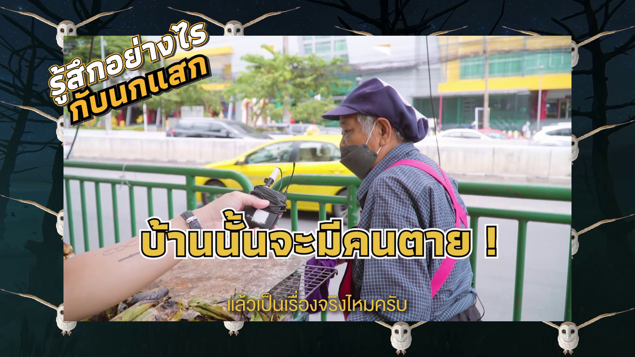 เกิดมาไมสัตว์ 0312652