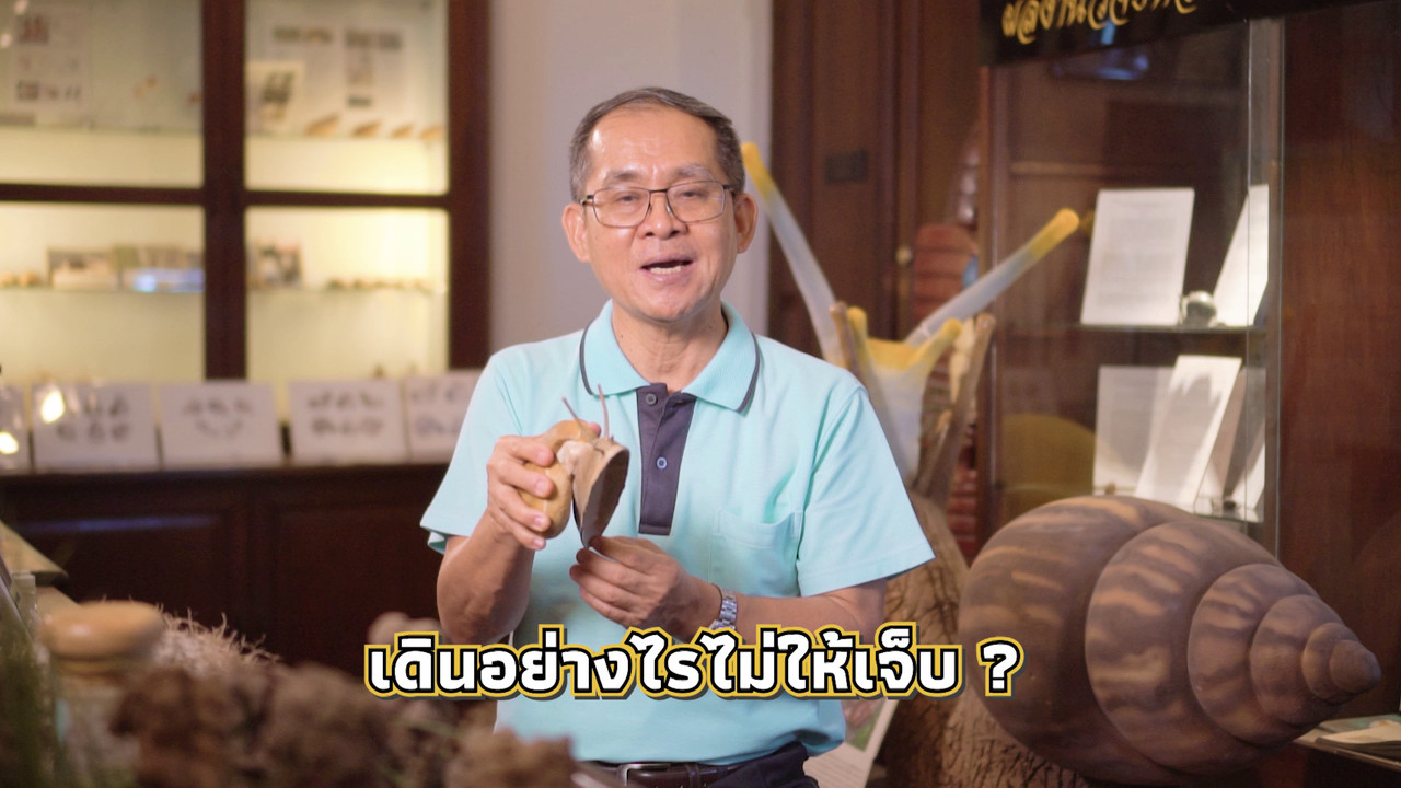 เกิดมาไมสัตว์ 1012659