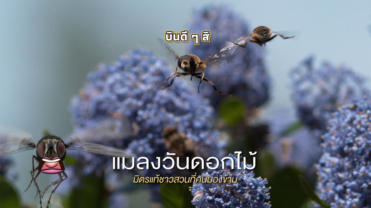 เกิดมาไมสัตว์ 1712656