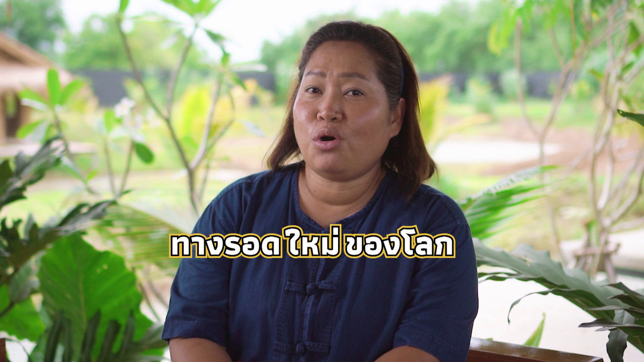 เกิดมาไมสัตว์ 17126510