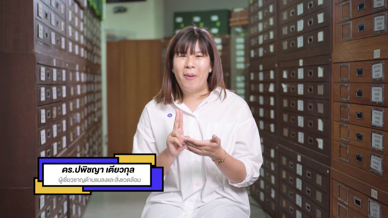 เกิดมาไมสัตว์ 1712654