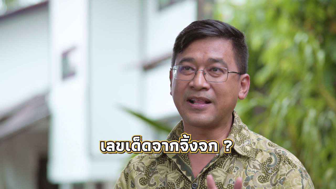เกิดมาไมสัตว์ 2412656