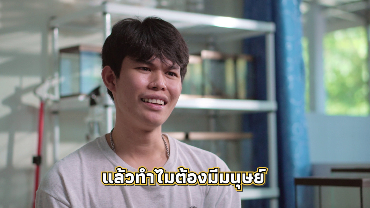 เกิดมาไมสัตว์ 2412659