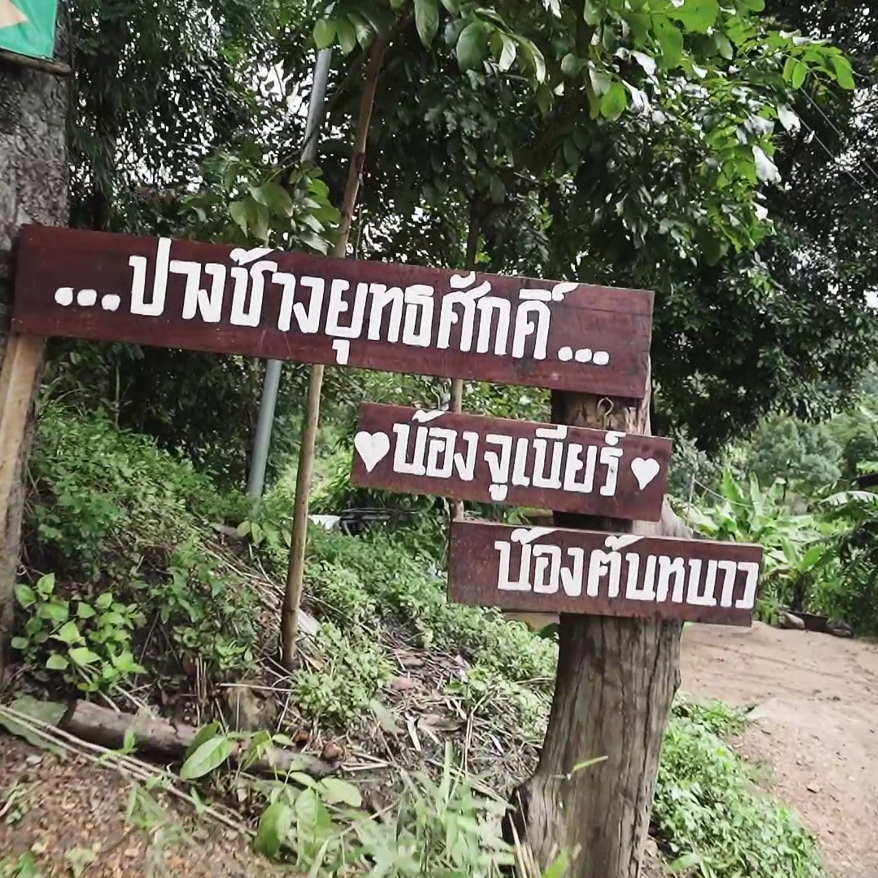 ตัวโปรดตัวป่วน_651111_3