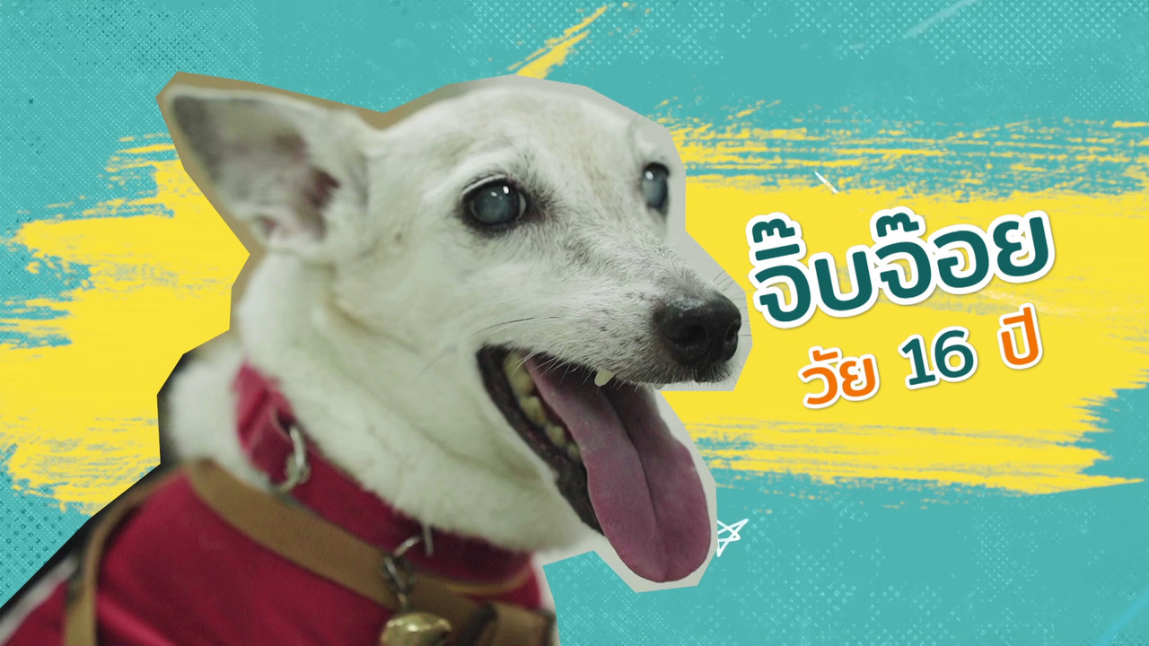 ตัวโปรดตัวป่วน_651111_16