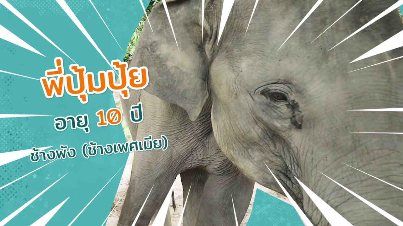 ตัวโปรดตัวป่วน_651111__7