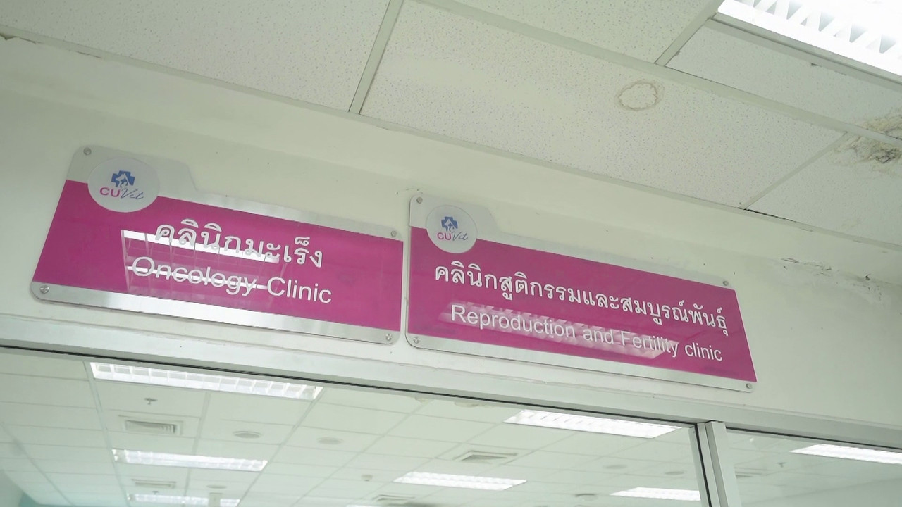 ตัวโปรดตัวป่วน_651125_20