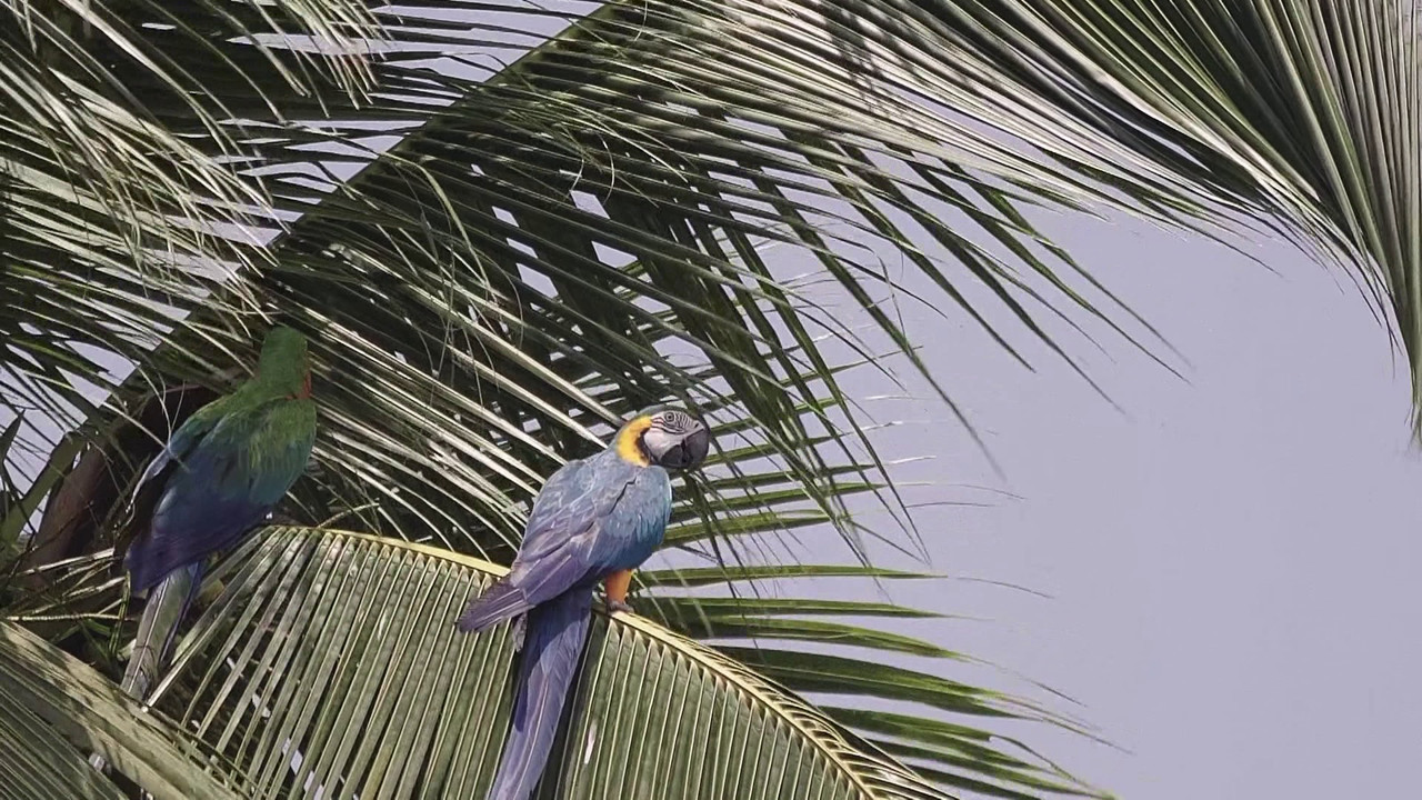 ตัวโปรดตัวป่วน_651125_12