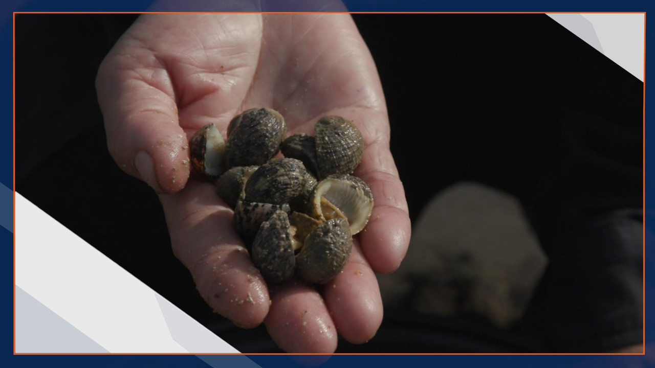 haveanewday 651102 (6)
