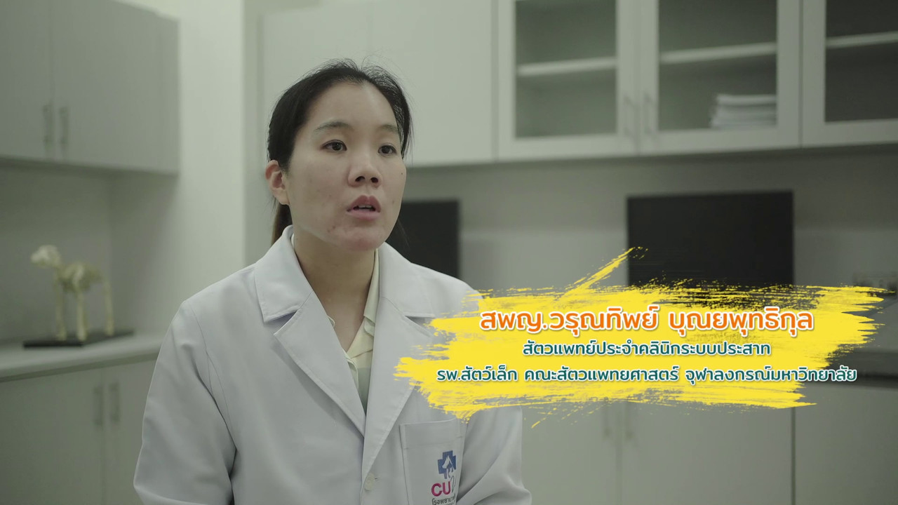 ตัวโปรดตัวป่วน_651028_16