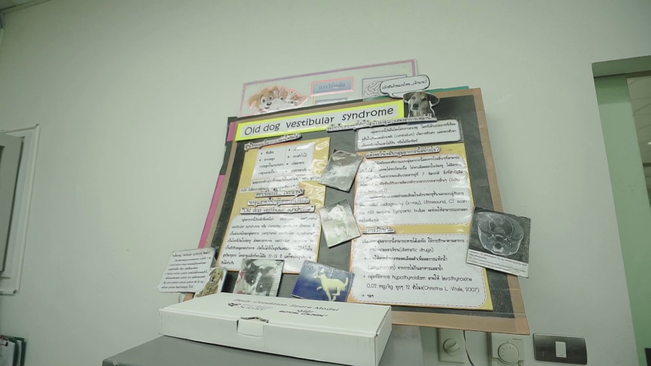 ตัวโปรดตัวป่วน_651028_17