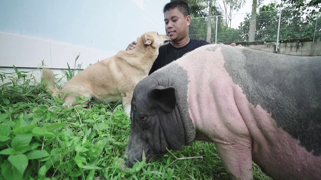 ตัวโปรดตัวป่วน_651028_5
