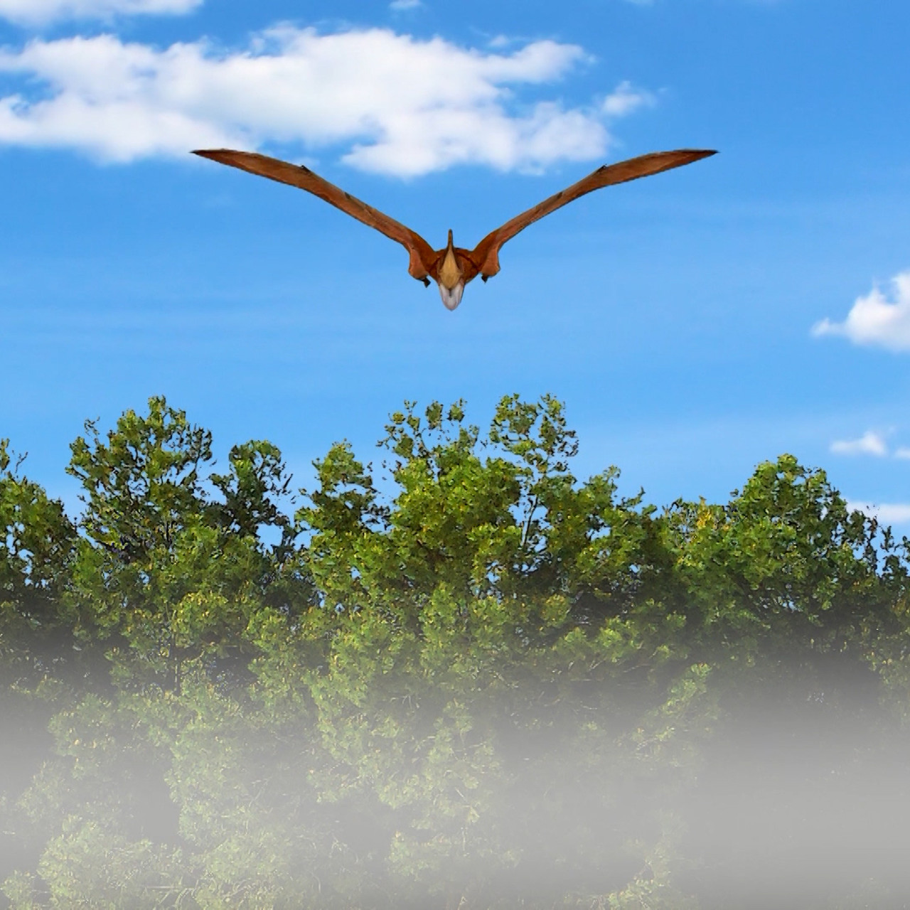 TataTitiToto651105-5