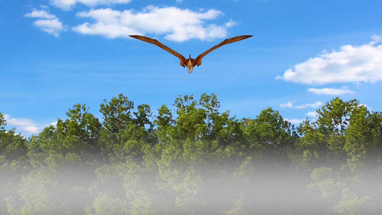 TataTitiToto651105-5