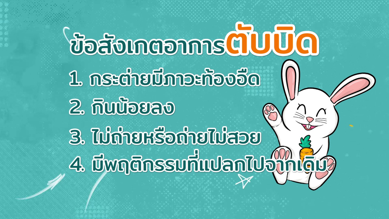 ตัวโปรดตัวป่วน_651202_1