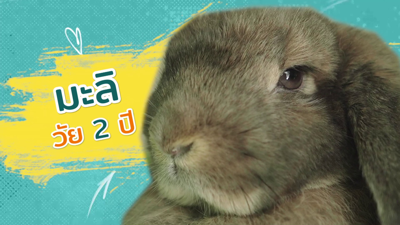 ตัวโปรดตัวป่วน_651202_17