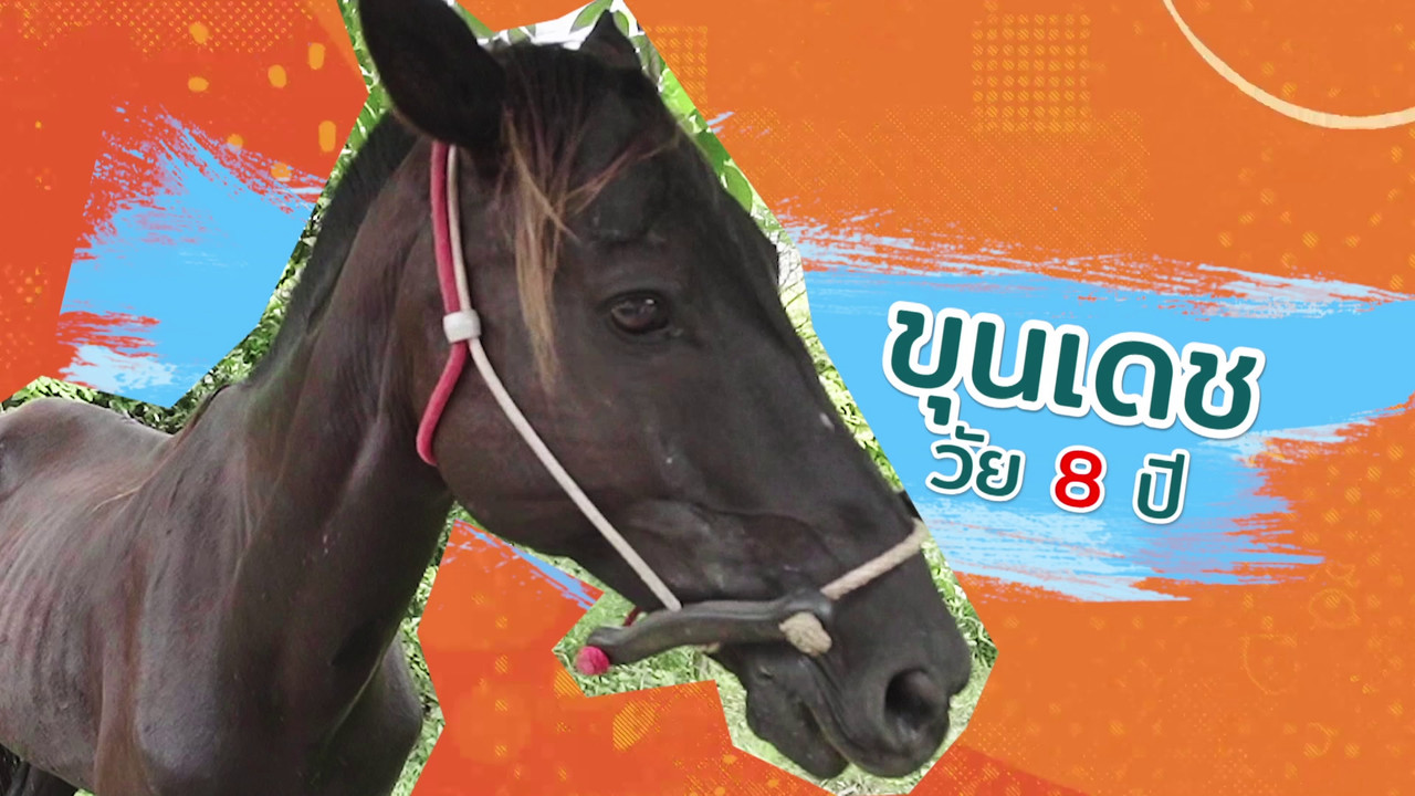 ตัวโปรดตัวป่วน_651202_4
