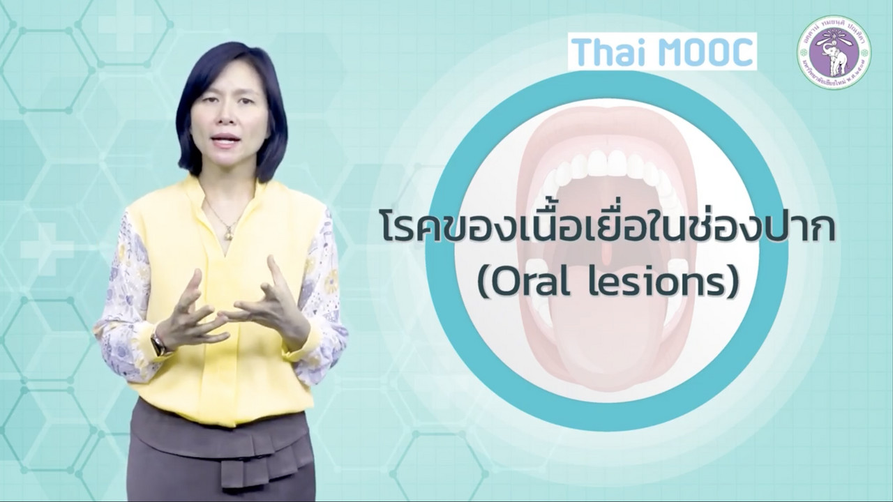 OnlineLearning 221265(13)