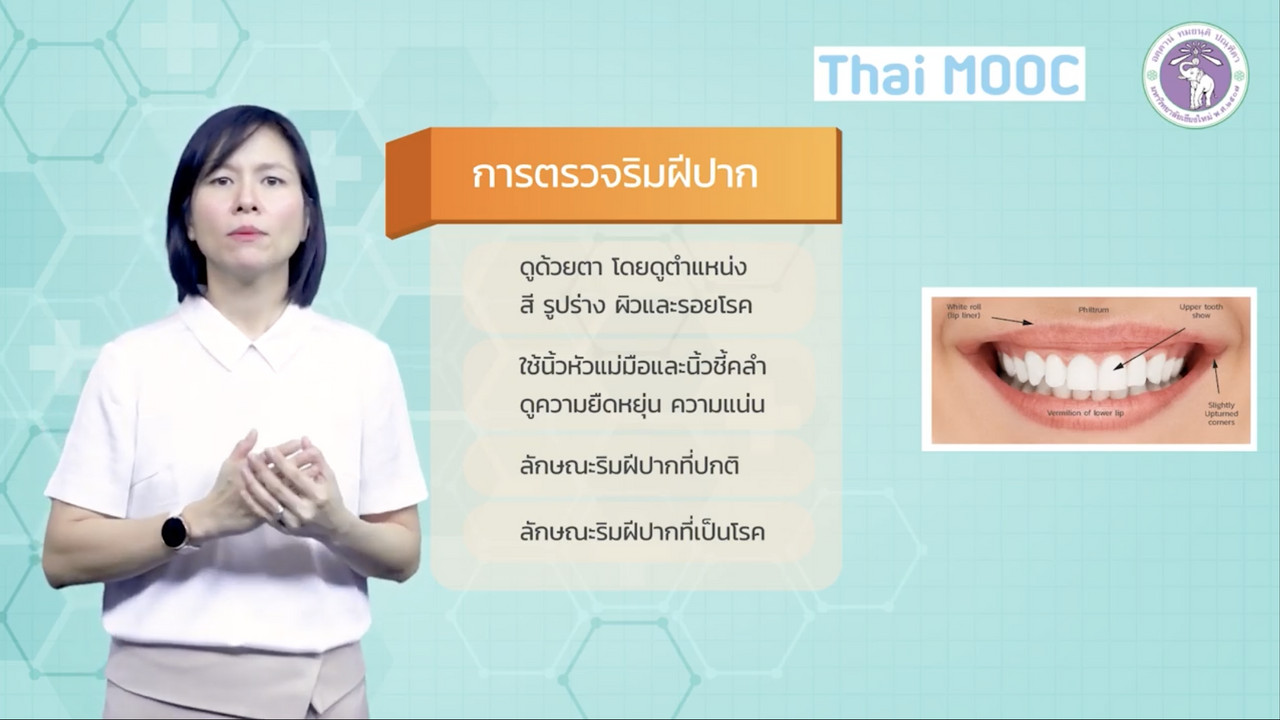 OnlineLearning 221265(25)