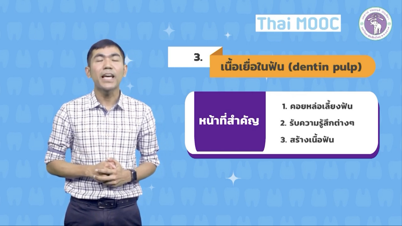 OnlineLearning 211265(12)