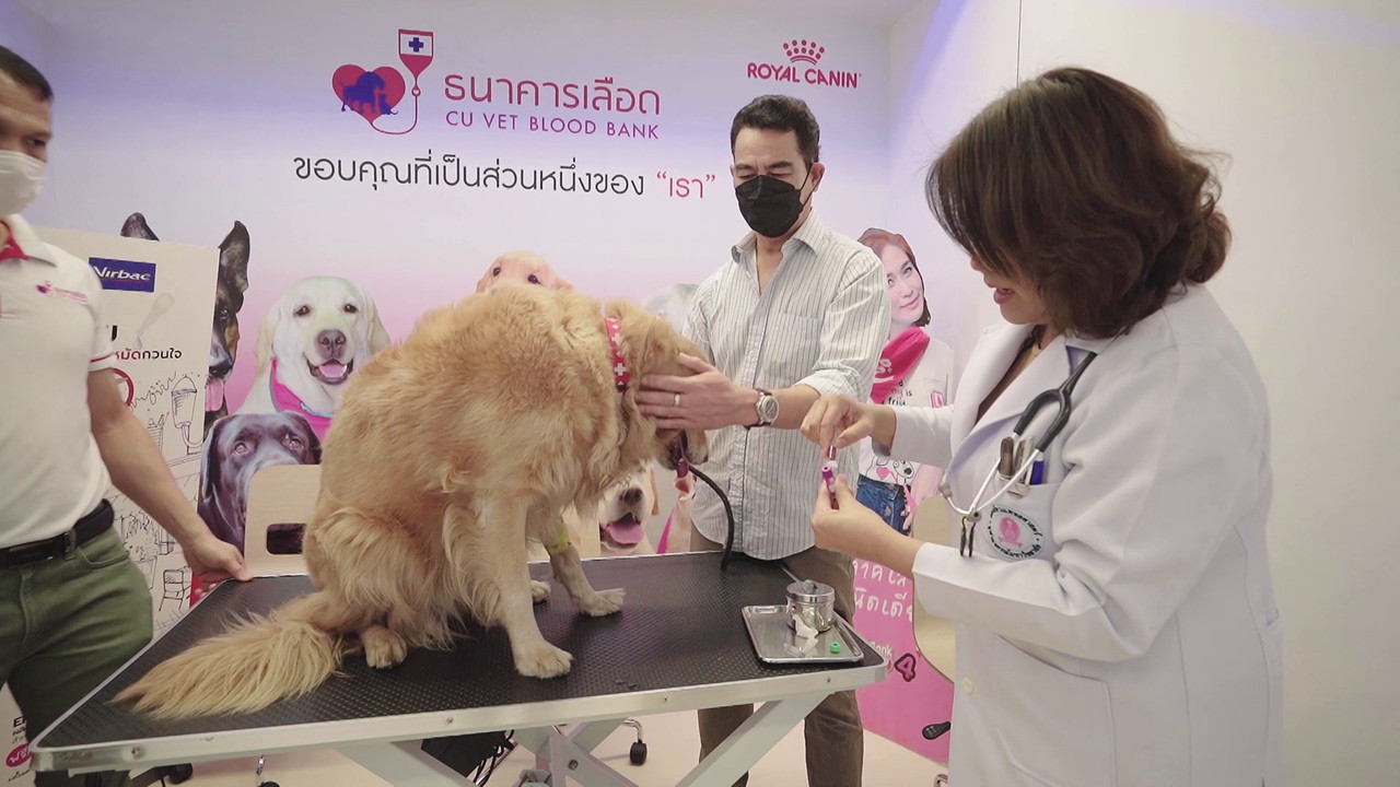 ตัวโปรดตัวป่วน_651230_17