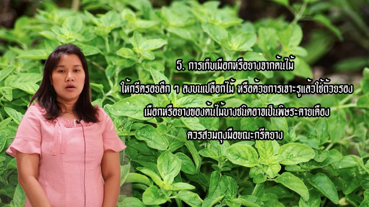 OnlineLearning 301265(7)