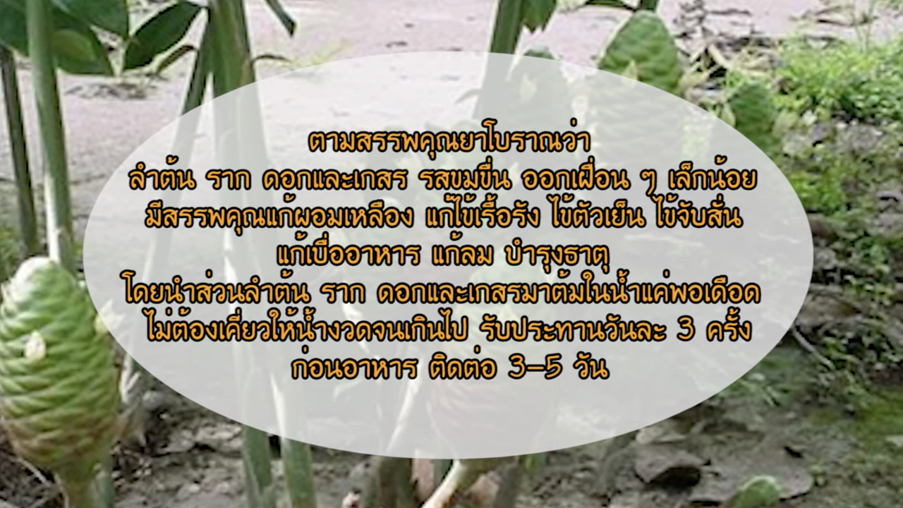 OnlineLearning 301265(28)
