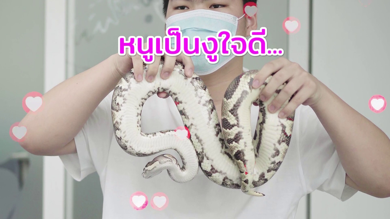 ตัวโปรดตัวป่วน_651209_13