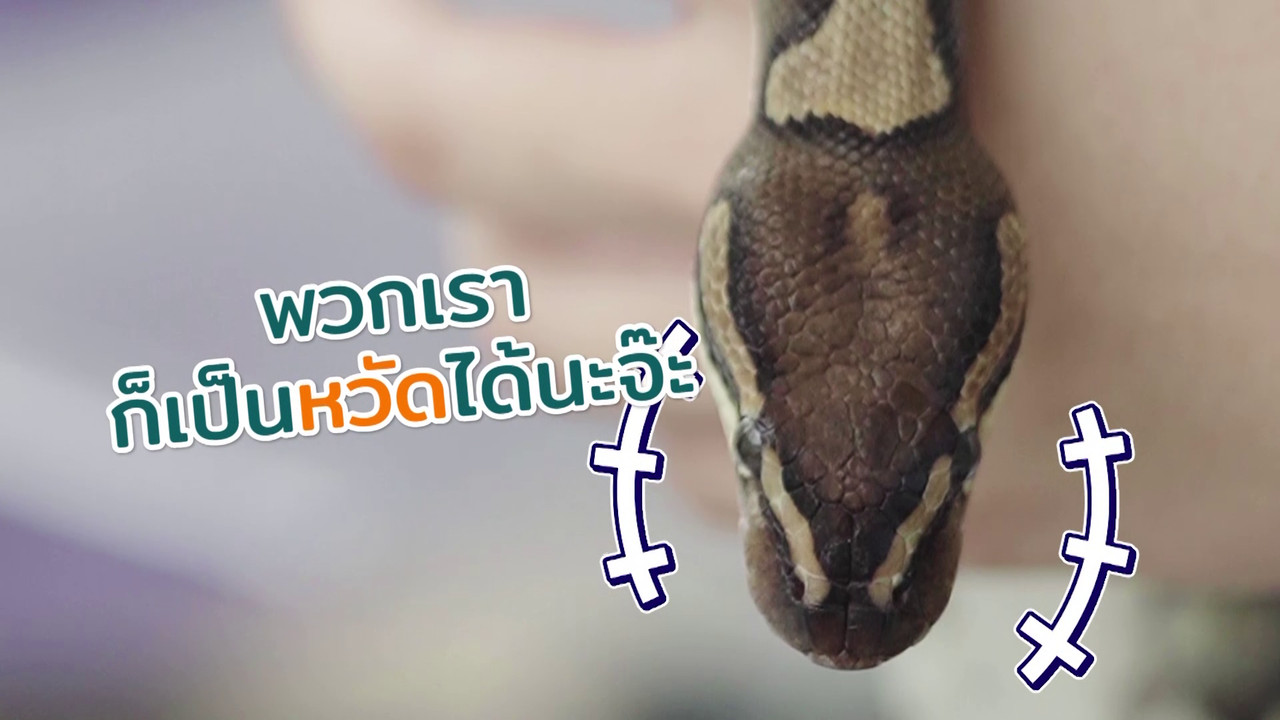 ตัวโปรดตัวป่วน_651209_14