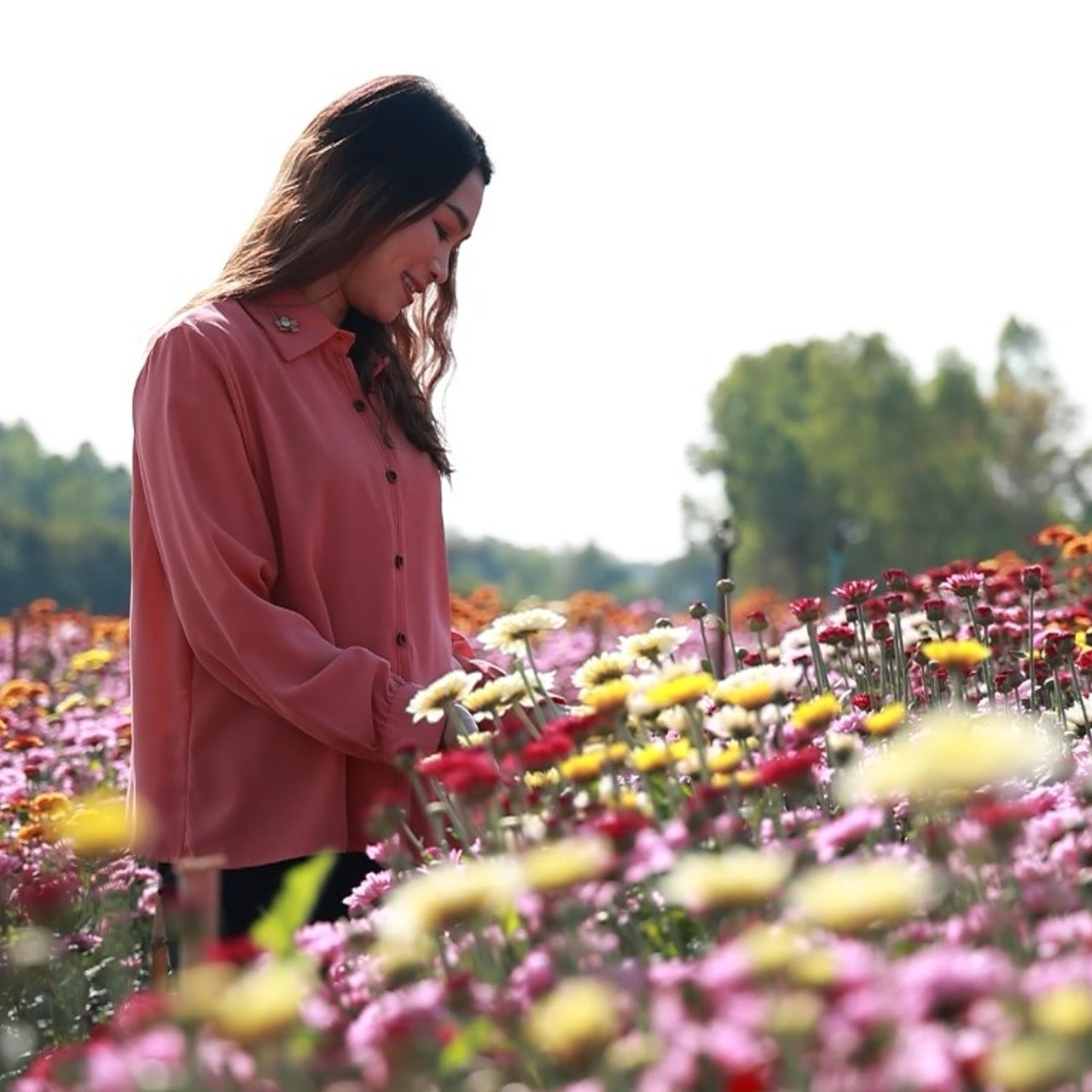 AgedVariety_660210-1