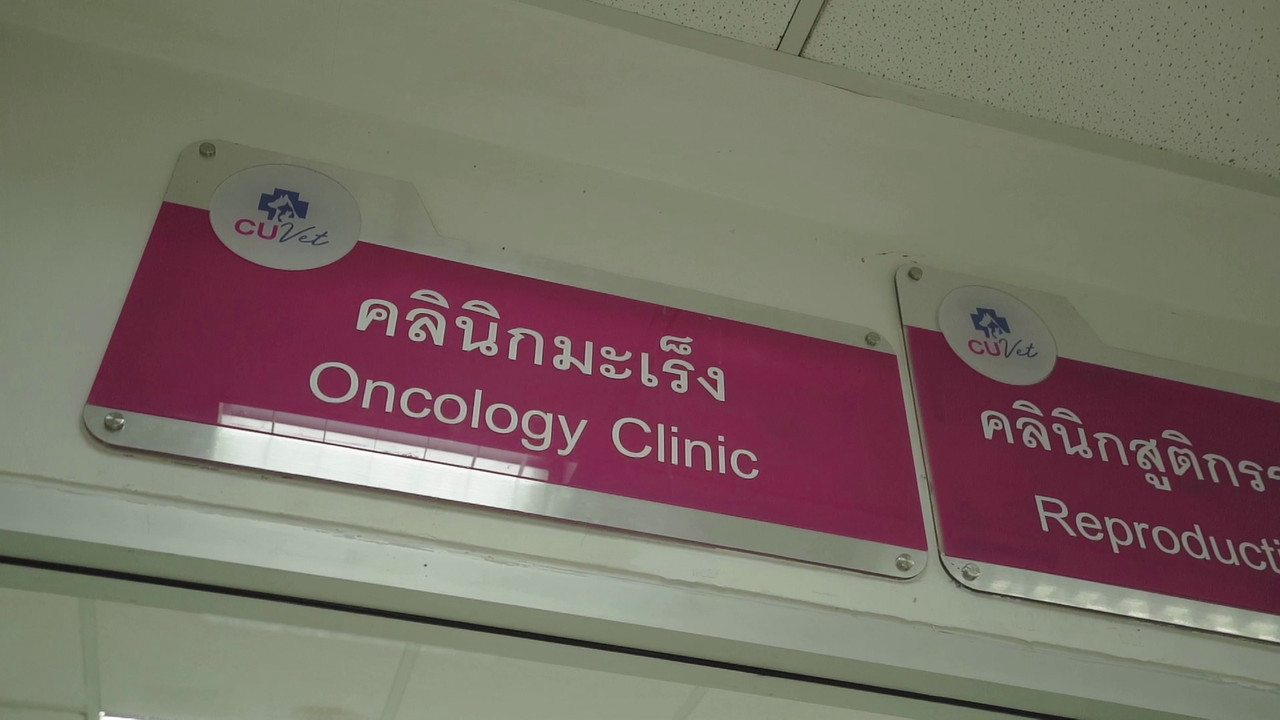 ตัวโปรดตัวป่วน_660203_15