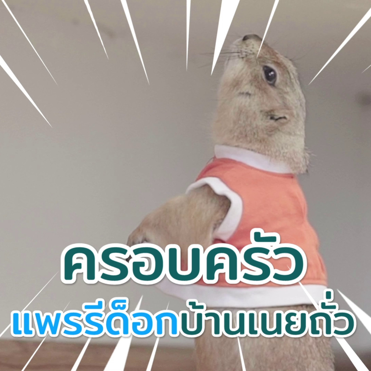 ตัวโปรดตัวป่วน_660203_1
