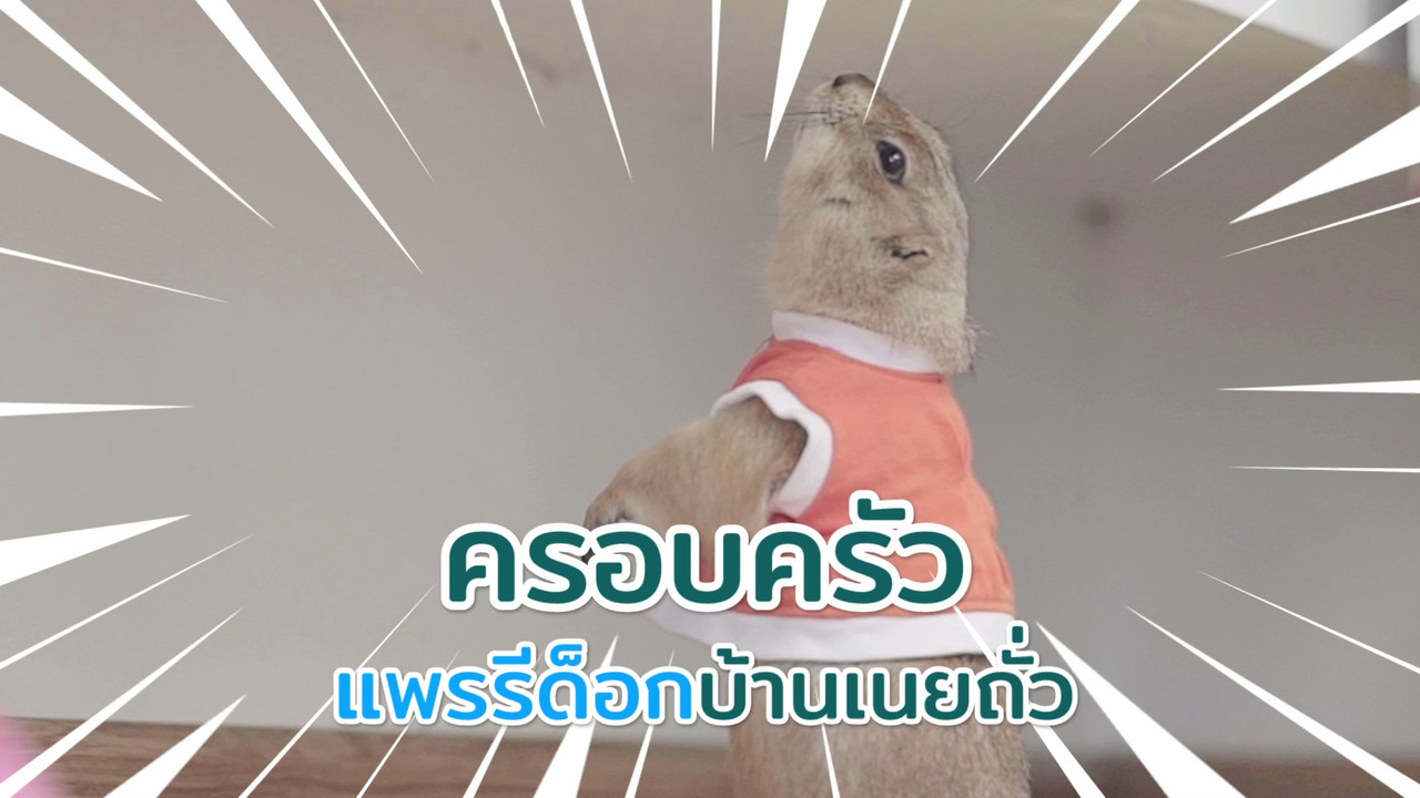 ตัวโปรดตัวป่วน_660203_1