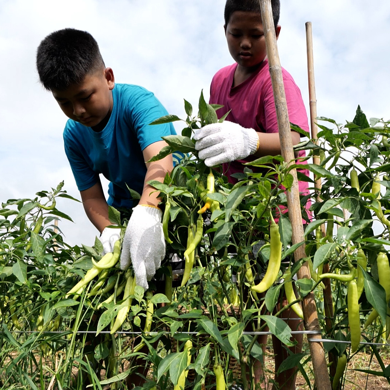 MhoKhaoMhoGang660129-5