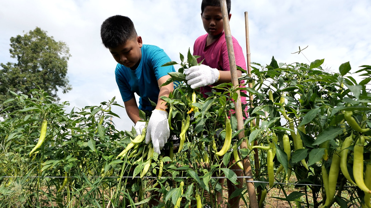 MhoKhaoMhoGang660129-5