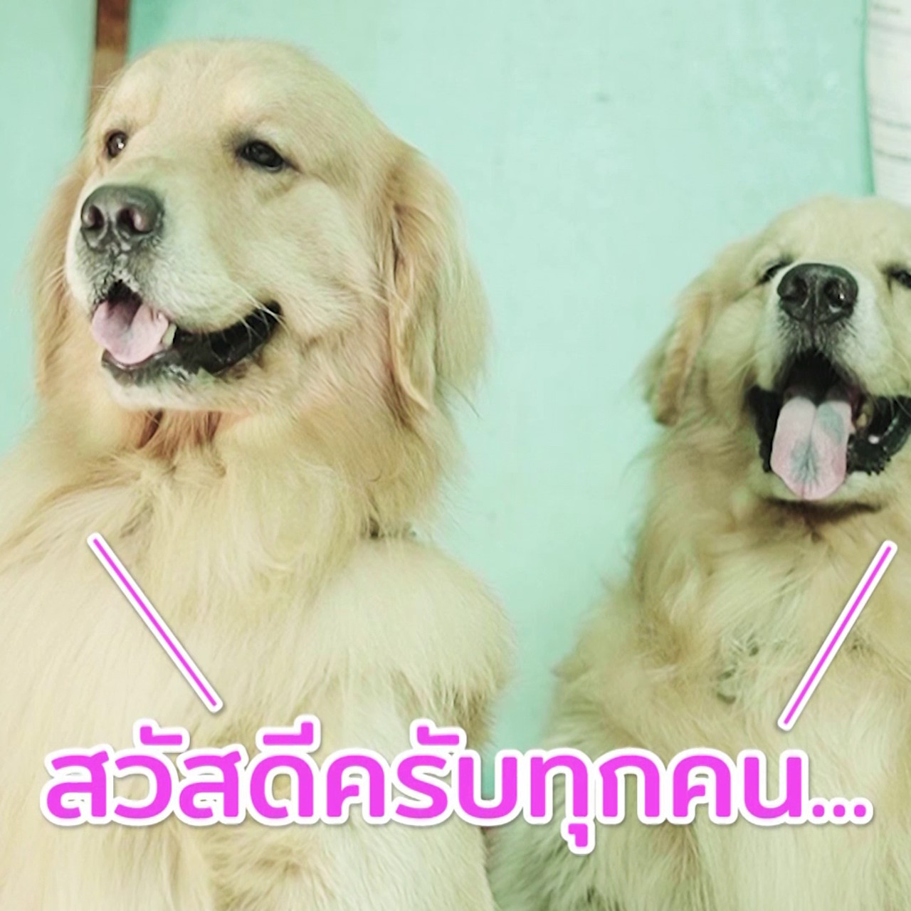 ตัวโปรดตัวป่วน_660210_2