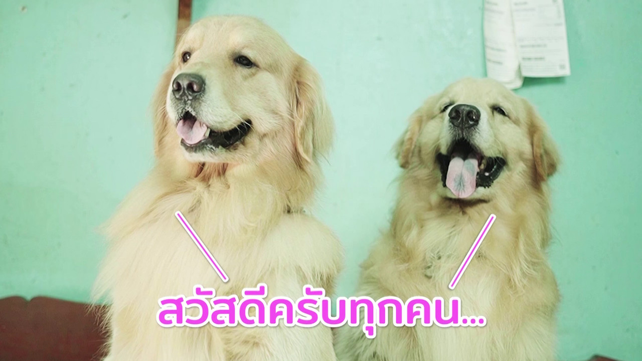 ตัวโปรดตัวป่วน_660210_2