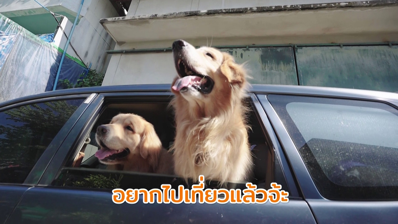 ตัวโปรดตัวป่วน_660210_7