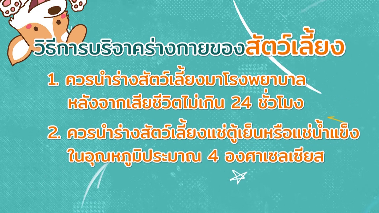 ตัวโปรดตัวป่วน_660210_14