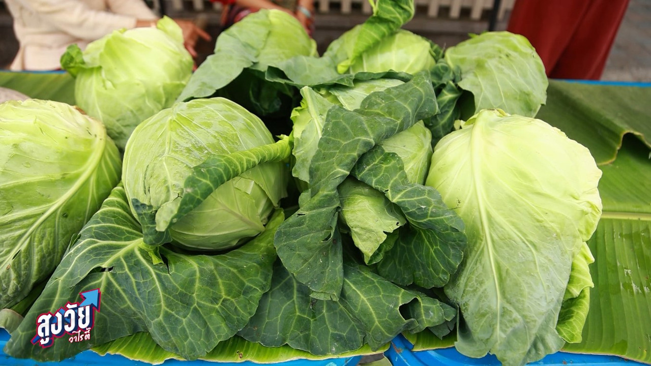 AgedVariety_660216-2