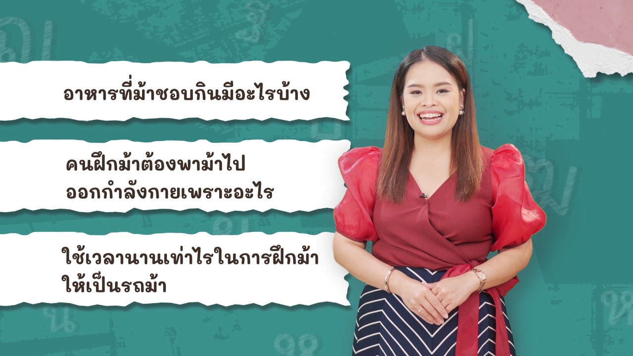 ภาษาไทยไม่จำกัด180366