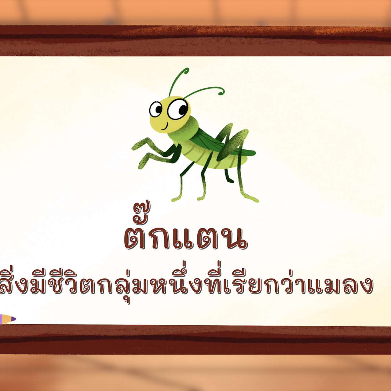 KhamThaiAraina660510_3