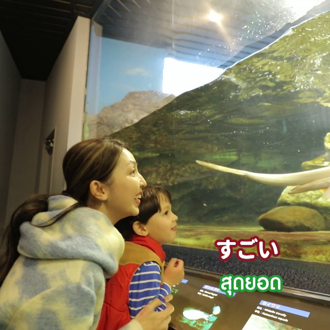 JapaneseLetsGo_660707_2