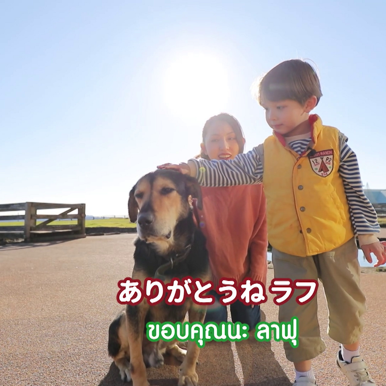 JapaneseLetsGo_660714_2