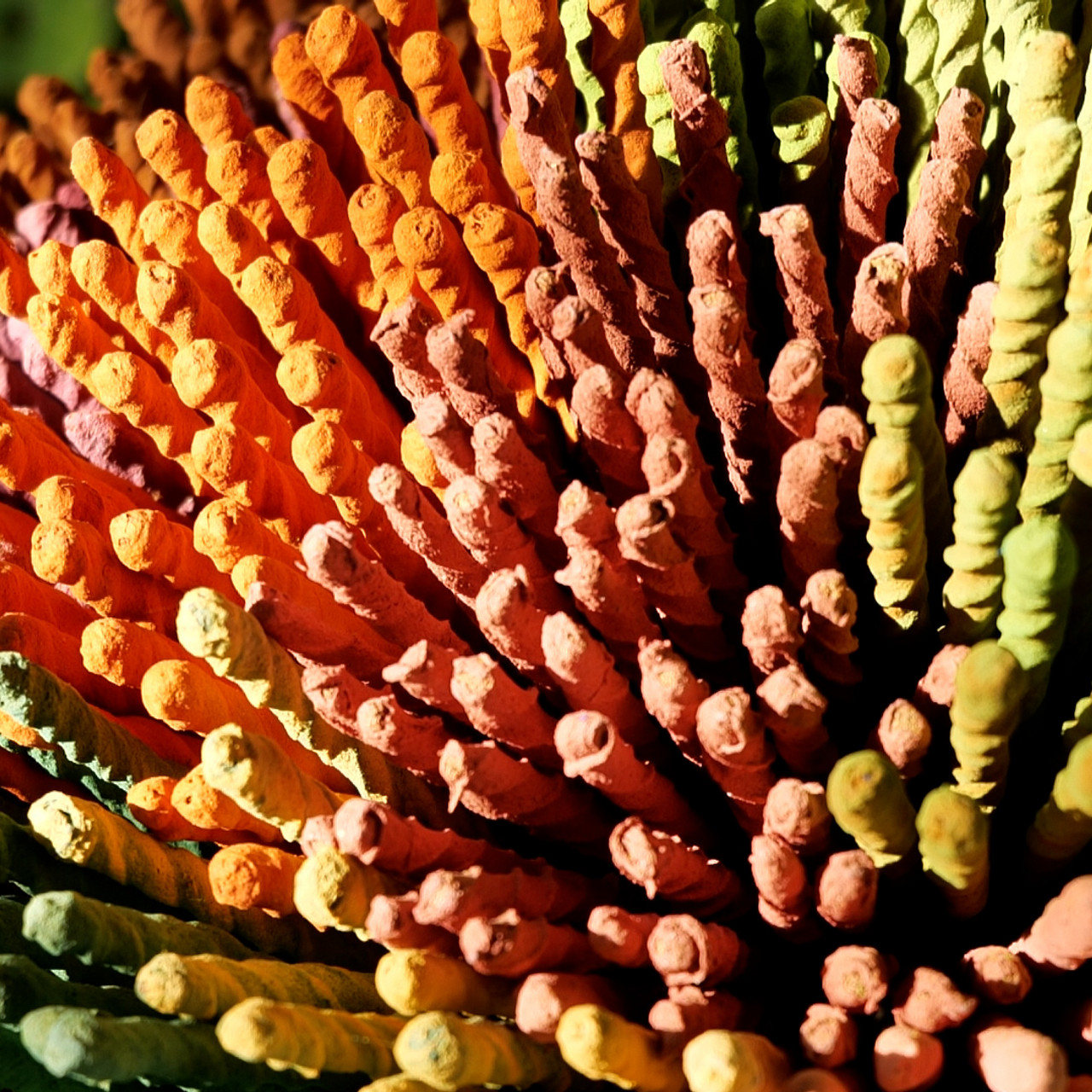 MhoKhaoMhoGang660910-5