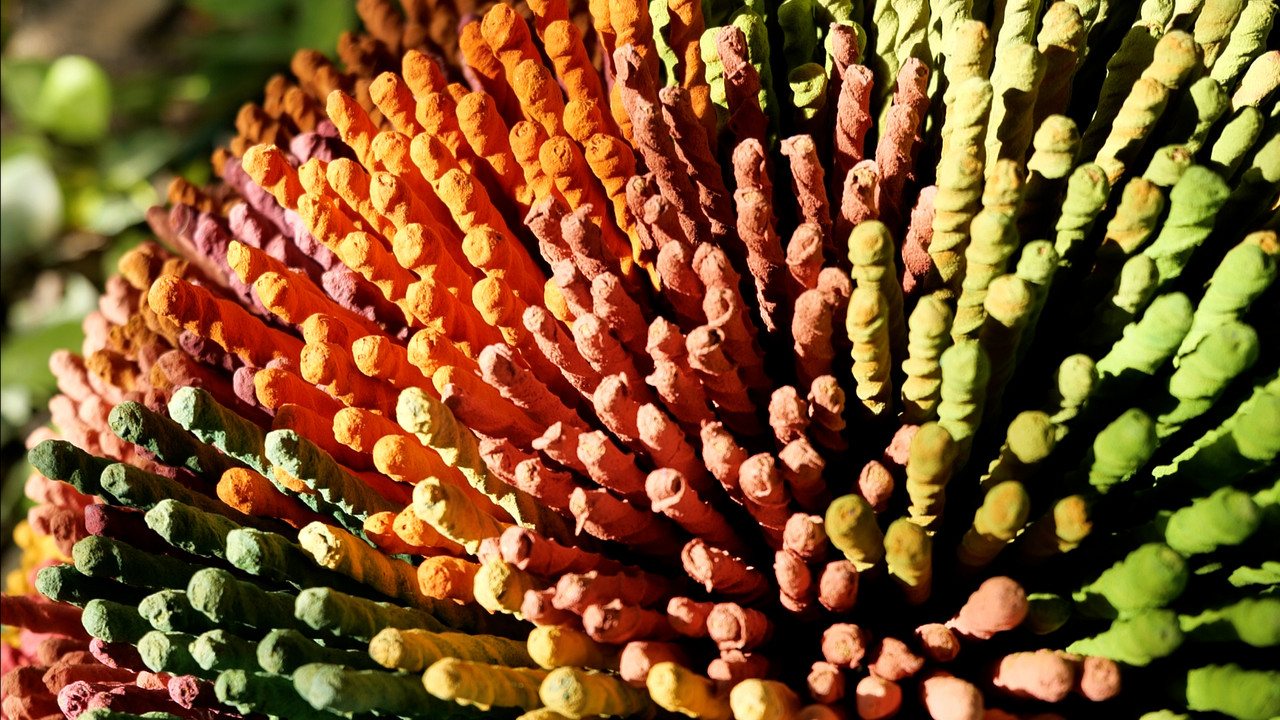 MhoKhaoMhoGang660910-5
