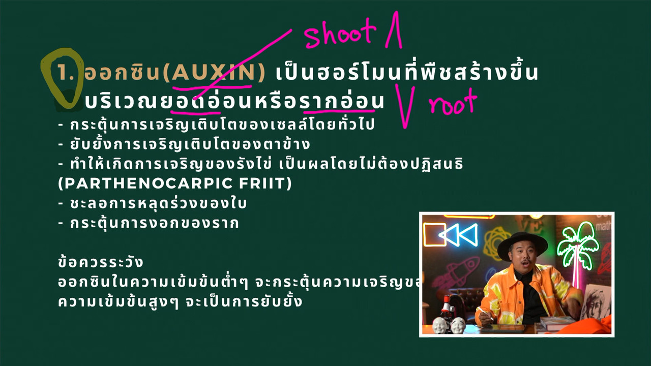 YouEasyPassU_661001 (4)